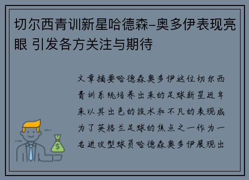 切尔西青训新星哈德森-奥多伊表现亮眼 引发各方关注与期待